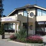 Dog Friendly Hotels in Celje