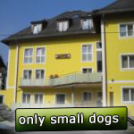 Family runned new hotel located directly in Salzubrg, only 1,5 km far from the exhibition venue. All rooms are equipped with bath/shower, toilet, TV, minibar, telephone and internet. Free parking possible. Only small dogs are allowed. 1,5 km Dog Show in Leeuwarden, distance 90 € EUR.